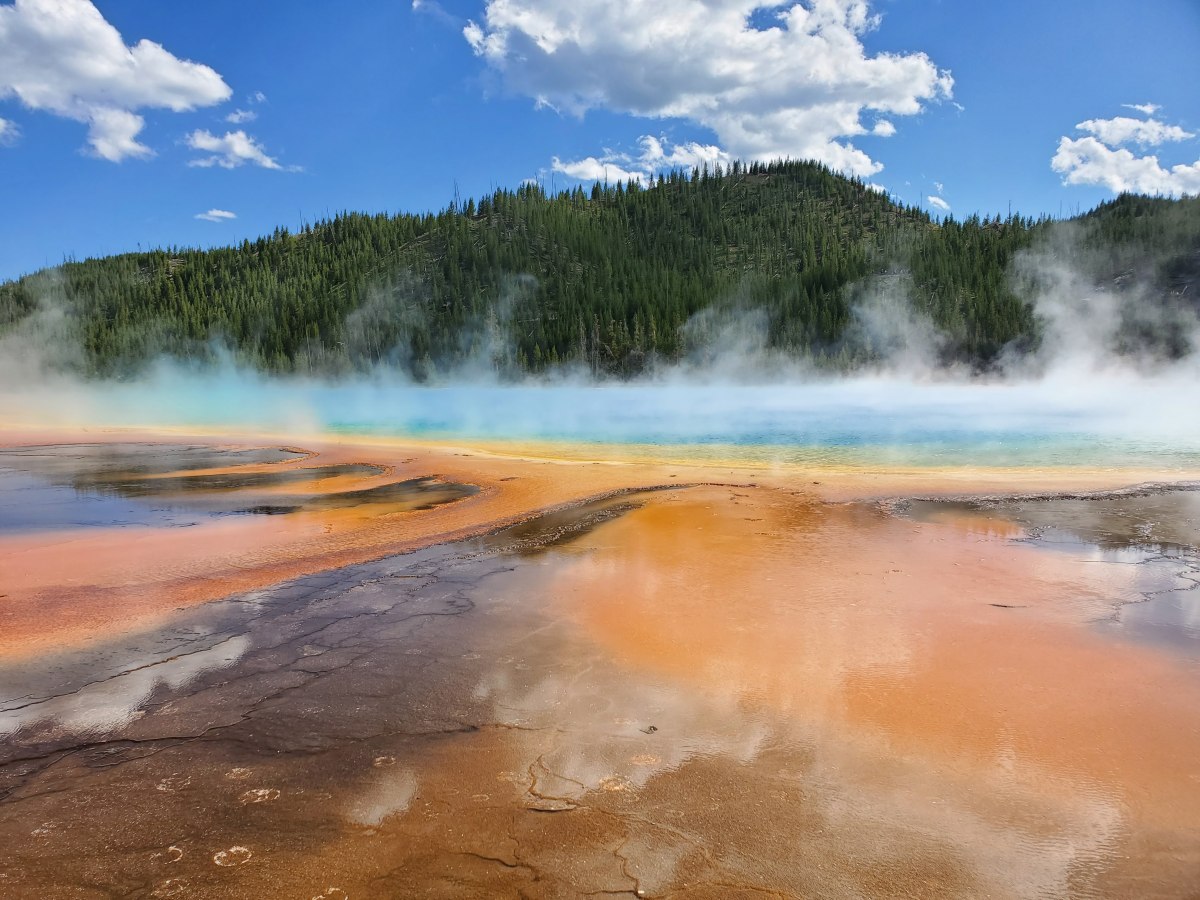 Yellowstone…the Finale